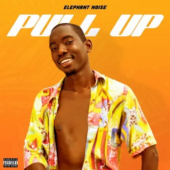 Pull Up by Elephant Noise