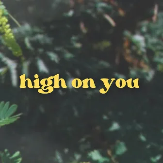 High On You by Falsch