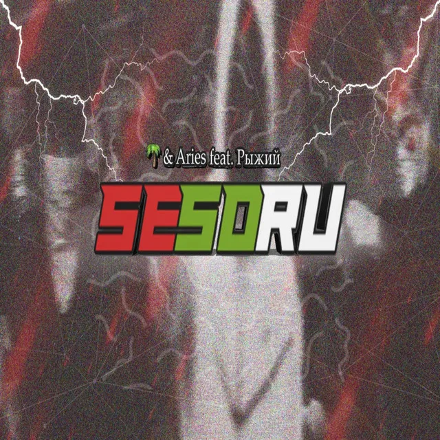 SeSoRu