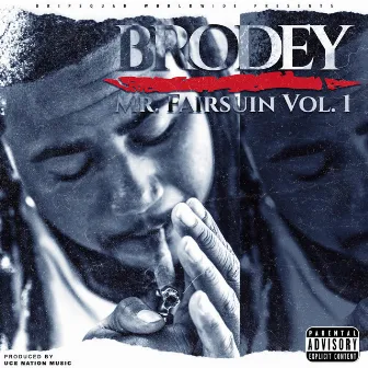 MR. Fairsuin, Vol. 1 by Brodey