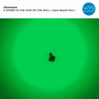 A Spider in the Gym on the Wall (Dario Bianki Remix) by Jdstreams