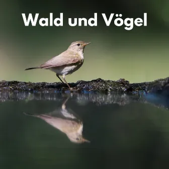 Wald und Vögel by Unknown Artist