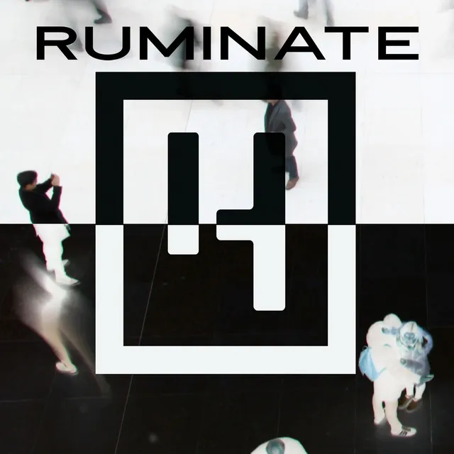 Ruminate