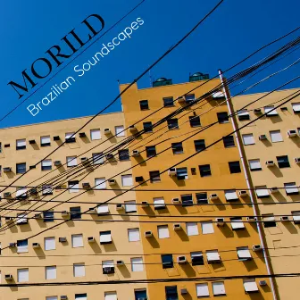 Brazilian Soundscapes by Morild