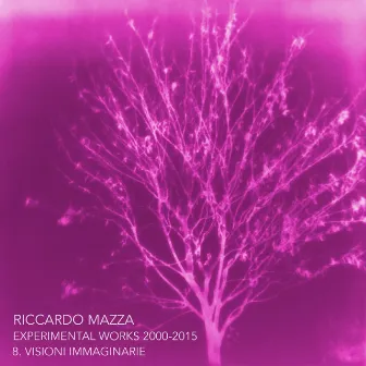 Experimental Works 2000-2015: Visioni Immaginarie (Disk 8) by Riccardo Mazza