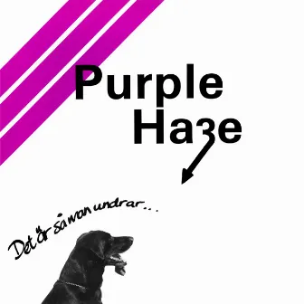 Det Är Så Man Undrar by Purple Haze