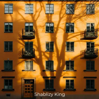 Romantized Your Life by Shablizy king