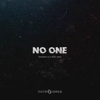 No One (Hrederik & Bio Bros. Remix) by Unknown Artist