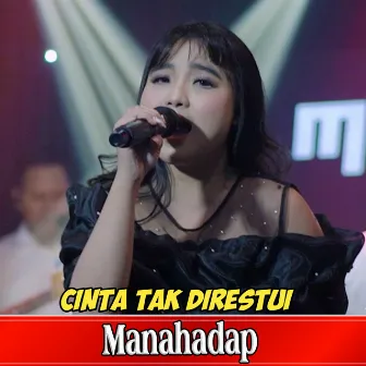 Cinta Tak Direstui by Manahadap