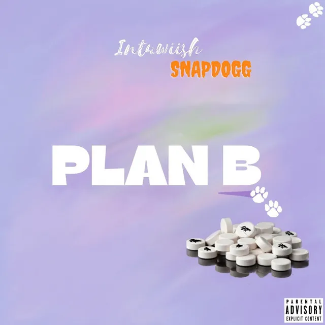 Plan B - Bronco Boy Edition