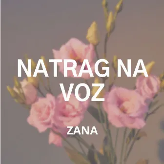 Natrag Na Voz by Zana