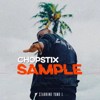 Sample by Chopstix