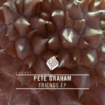 Friends - EP by Pete Graham