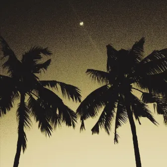 Music for Savage Tropical Imagery by Yuuki Matthews