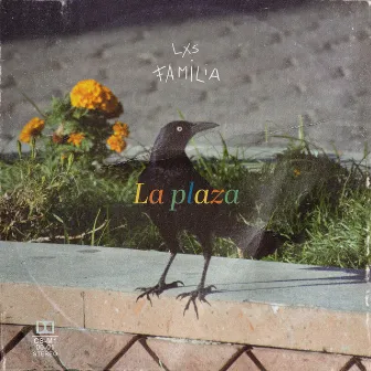 La plaza by Lxs Familia