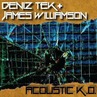 Acoustic K.O. by James Williamson