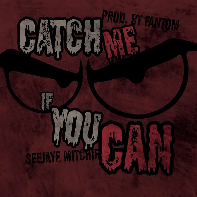 Catch Me If You Can