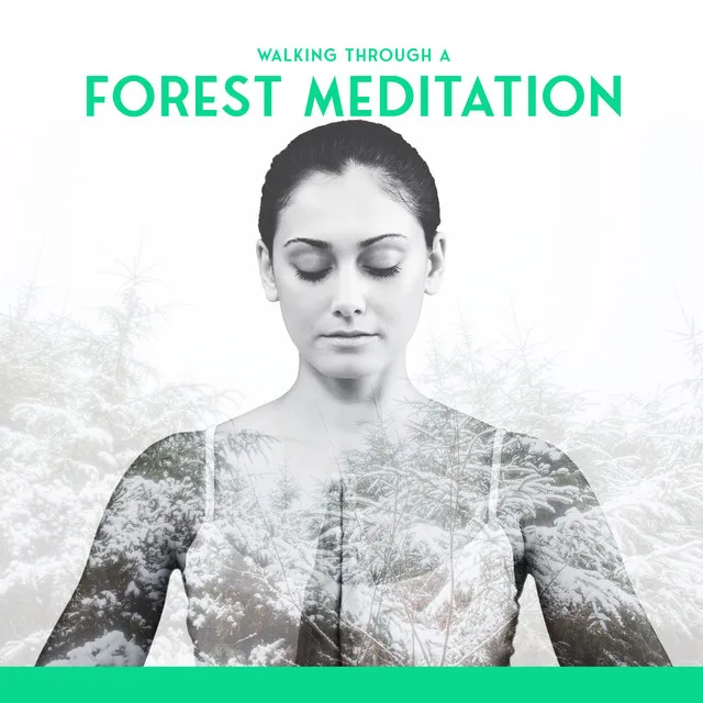 Walking Through a Forest Meditation for Chaotic Times: Nature Sounds Relaxation