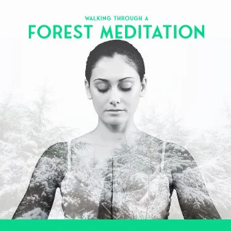 Walking Through a Forest Meditation for Chaotic Times: Nature Sounds Relaxation by Calm Nature Oasis