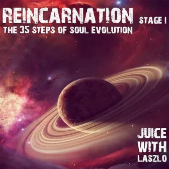 Reincarnation. The 35 Steps of Soul Evolution by Stereo Juice