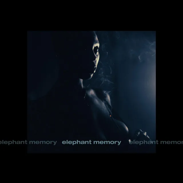 elephant memory