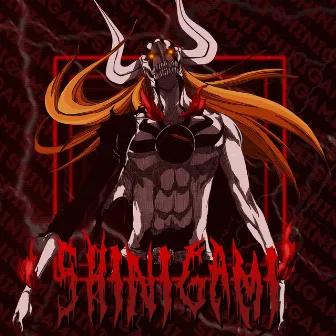 SHINIGAMI by D1VVIN$