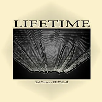 Lifetime by Sed Contra