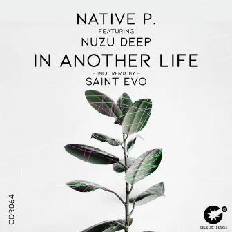 In Another Life by Native P.