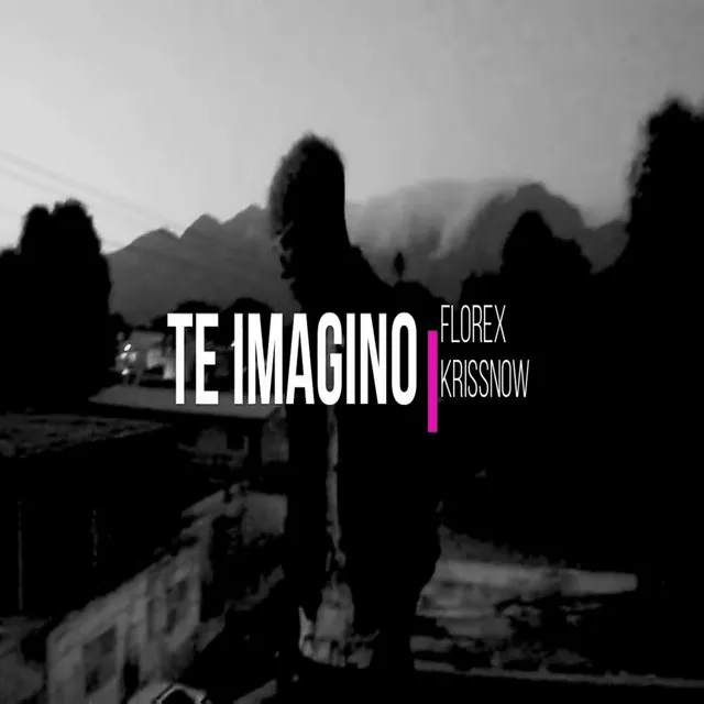 Te Imagino