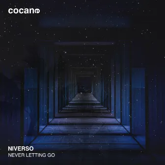 Never Letting Go by NIVERSO