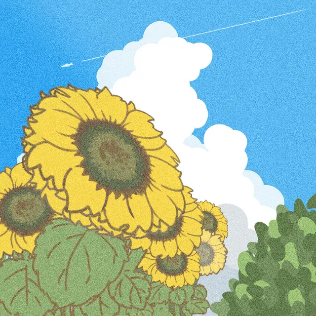 Helianthus