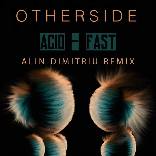 Acid - Fast (Alin Dimitriu Remix)