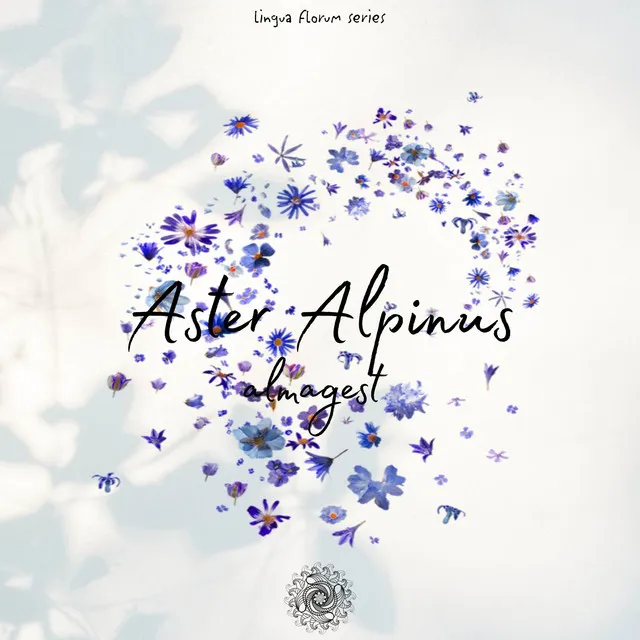 Aster Alpinus