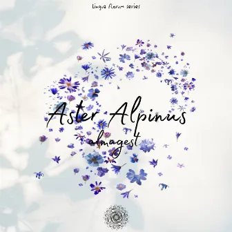 Aster Alpinus by Almagest!