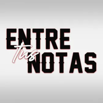 Entre Tus Notas by Johnny Tockes