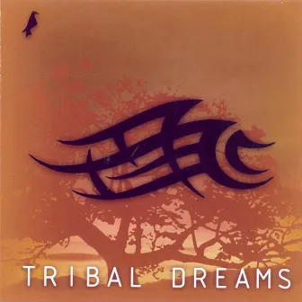 Tribal Dreams by Marco Bombom