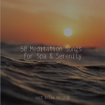 50 Meditation Songs for Spa & Serenity by Lounge relax