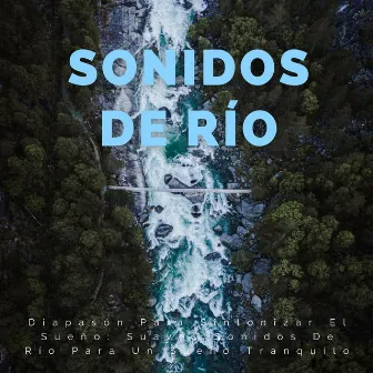 Diapasón Para Sintonizar El Sueño: Suaves Sonidos De Río Para Un Sueño Tranquilo by Viaje Durmiente