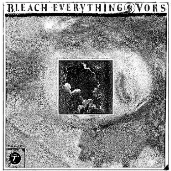 Split Single by Bleach Everything