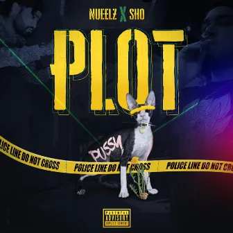 Plot by Nueelz