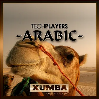 Arabic by Techplayers