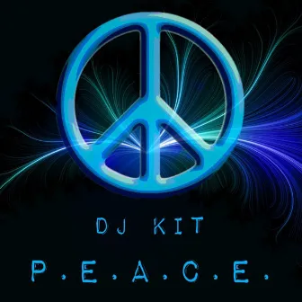 Put Your Sunglasses On by DJ Kit