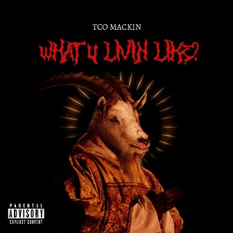 What U Livin Like? by TCO Mackin