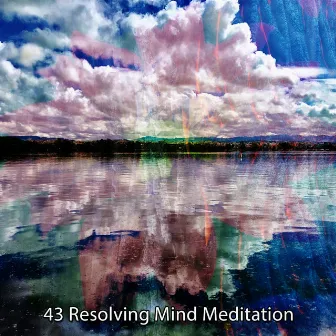 43 Resolving Mind Meditation by Source Vibrations