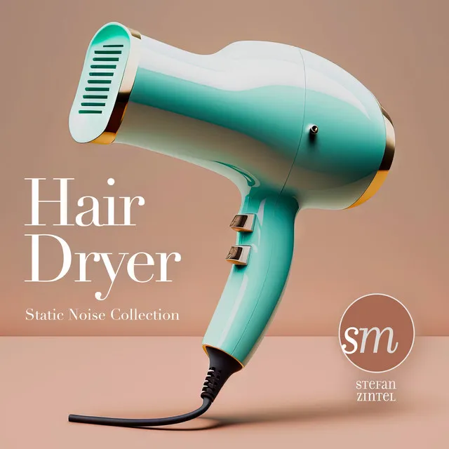 Steady Portable Blow Dryer Sound