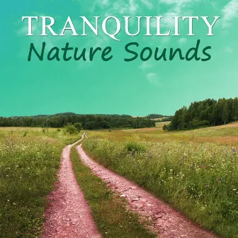 Tranquility Nature Sounds - New Age Music,Srelaxing Music, Rain Sounds & Pure Ocean Waves, Calming Contemporary Music by Tranquility Nature Center