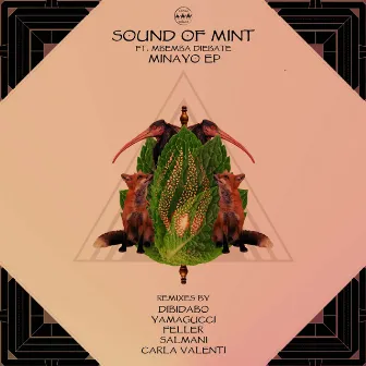 Minayo by Sound Of Mint