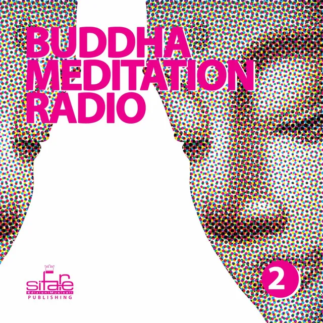 Buddha Meditation Radio, Vol. 2 (Relaxation and Wellness Music)