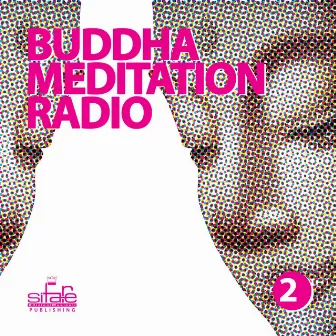 Buddha Meditation Radio, Vol. 2 (Relaxation and Wellness Music) by Andy Bruno