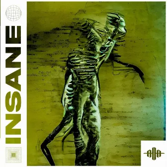 Insane by Aim To Head